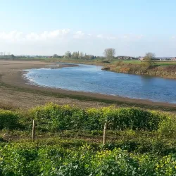 Maas River - Dilsen-Stokkem