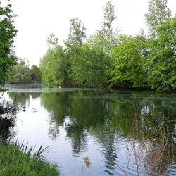 Maas River - Dilsen-Stokkem