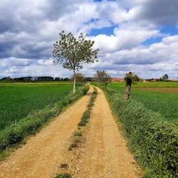 Maas River - Dilsen-Stokkem