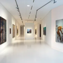 Museum Het Domein - Dilsen-Stokkem