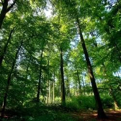 Arboretum de Gembloux - Gembloux