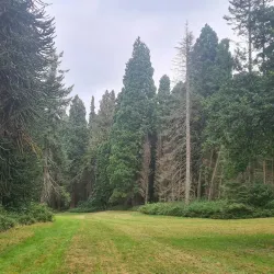 Arboretum de Gembloux - Gembloux