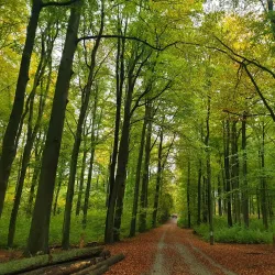 Arboretum de Gembloux - Gembloux