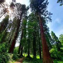 Arboretum de Gembloux - Gembloux