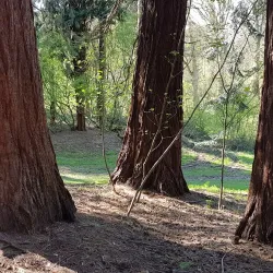 Arboretum de Gembloux - Gembloux