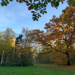 Arboretum de Gembloux - Gembloux