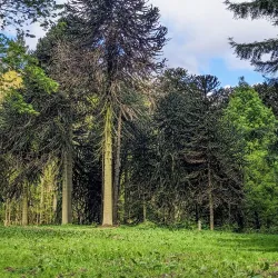 Arboretum de Gembloux - Gembloux