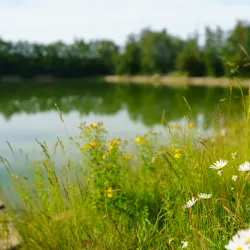 Gembloux Abbey - Gembloux