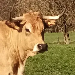 La Ferme de la Houssière - Gembloux