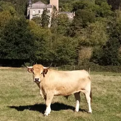 La Ferme de la Houssière - Gembloux