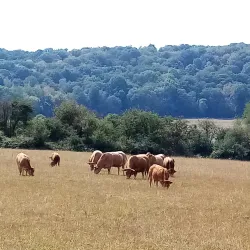 La Ferme de la Houssière - Gembloux