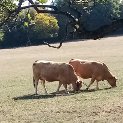 La Ferme de la Houssière - Gembloux