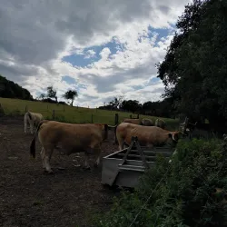 La Ferme de la Houssière - Gembloux