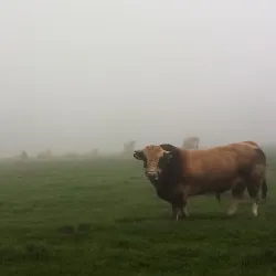 La Ferme de la Houssière - Gembloux