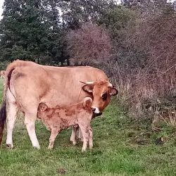 La Ferme de la Houssière - Gembloux