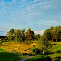 Aspen Golf Genk - Genk