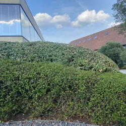 Aspen Golf Genk - Genk