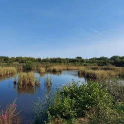 De Maten Park - Genk