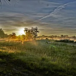De Maten Park - Genk