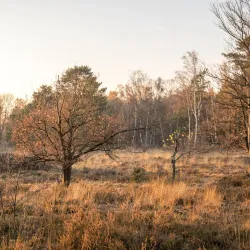 De Maten Park - Genk