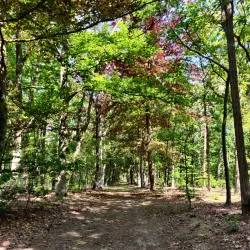 De Maten Park - Genk