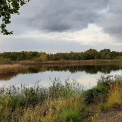 De Maten Park - Genk