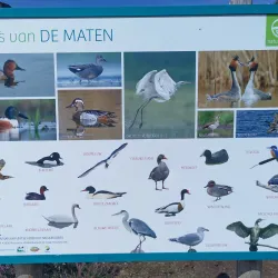 De Maten Park - Genk