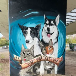 Genk Skatepark - Genk