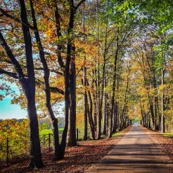 Hoge Kempen National Park - Genk