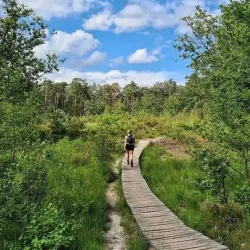Hoge Kempen National Park - Genk