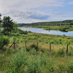Hoge Kempen National Park - Genk