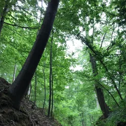 Chemin des Moines - Grez-Doiceau