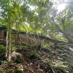 Chemin des Moines - Grez-Doiceau