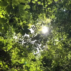 Chemin des Moines - Grez-Doiceau