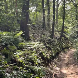 Chemin des Moines - Grez-Doiceau