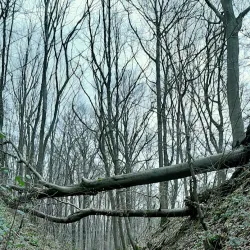 Chemin des Moines - Grez-Doiceau