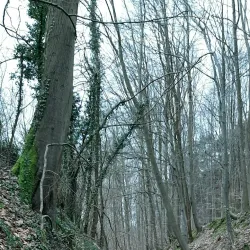 Chemin des Moines - Grez-Doiceau