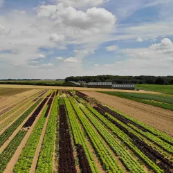 Ferme de la Houssière - Grez-Doiceau