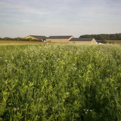 Ferme de la Houssière - Grez-Doiceau