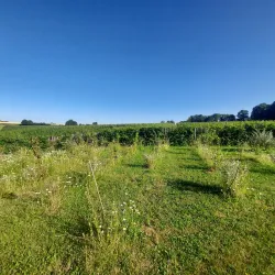 Local Belgian Wineries - Grez-Doiceau