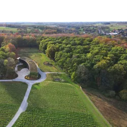 Local Belgian Wineries - Grez-Doiceau