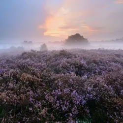 Cycle Routes around Hamont-Achel - Hamont-Achel