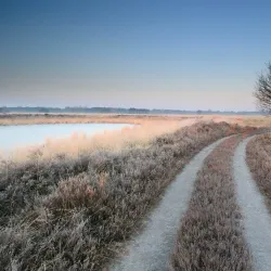 De Groote Heide Nature Reserve - Hamont-Achel