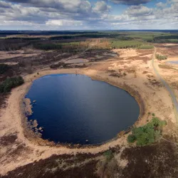 De Groote Heide Nature Reserve - Hamont-Achel