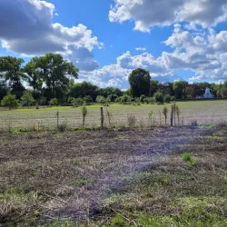 De Groote Heide Nature Reserve - Hamont-Achel