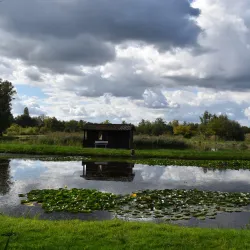 De Wijers - Hamont-Achel