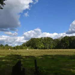 De Wijers - Hamont-Achel