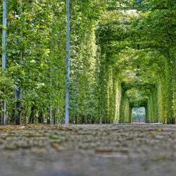 Herkenrode Abbey - Hasselt