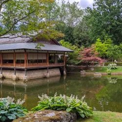 Japanese Garden - Hasselt
