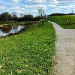 Japanese Garden - Hasselt